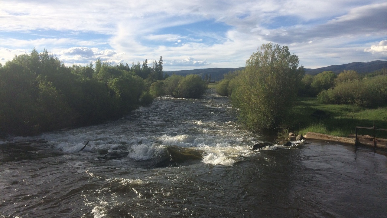 Photo of Others in Fraser