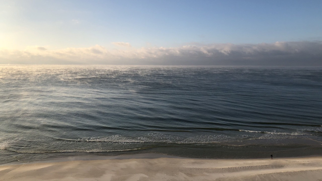 Photo of Others in Gulf Shores