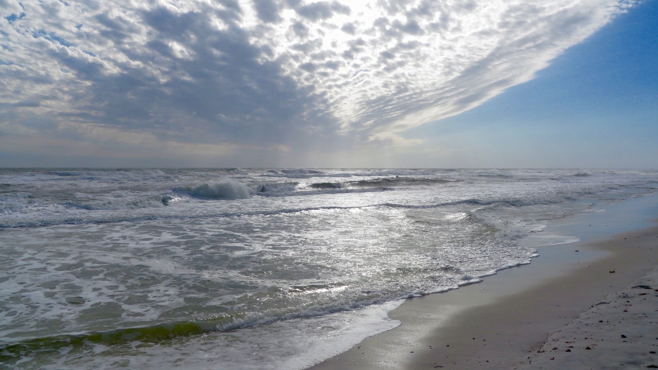 Photo of Others in Gulf Shores