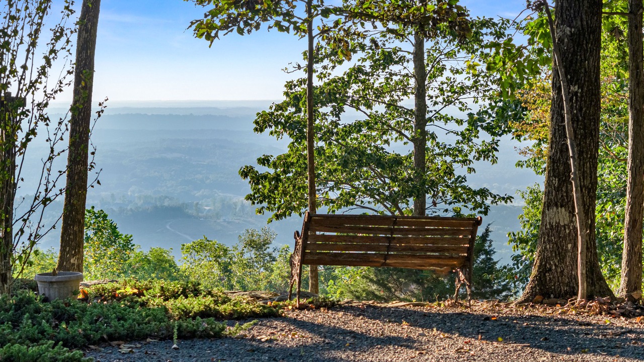 Photo of Outdoor in Mentone