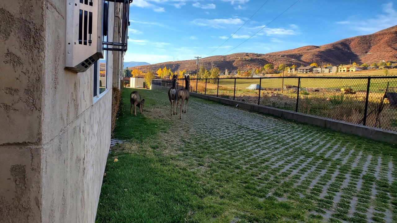 Photo of Others in Zermatt