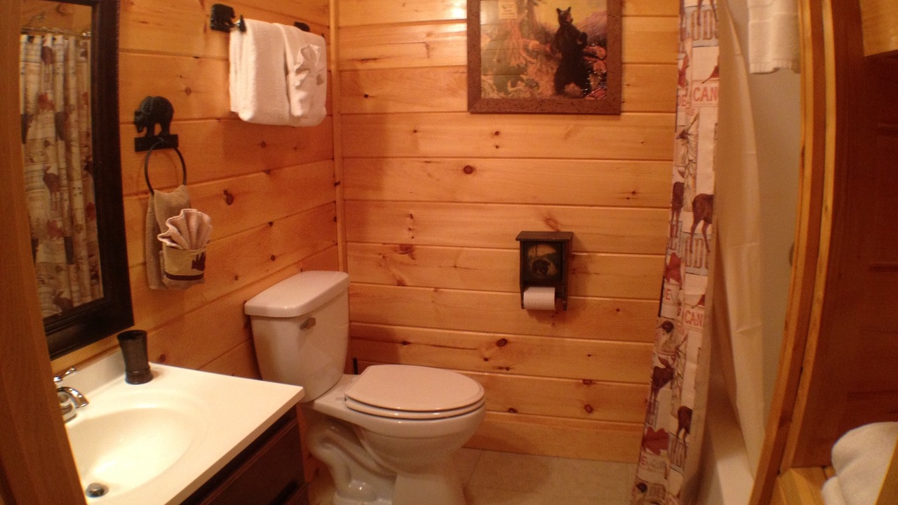 Photo of Bathroom in Sevierville