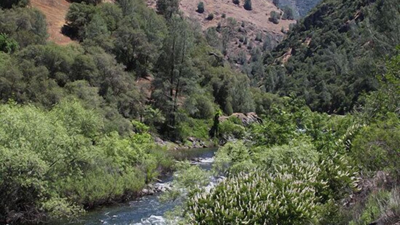 Photo of Others in El Portal