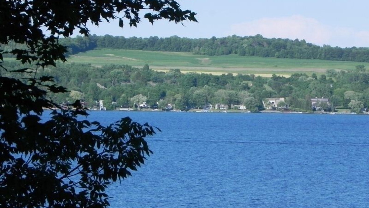 Photo of Others in Skaneateles