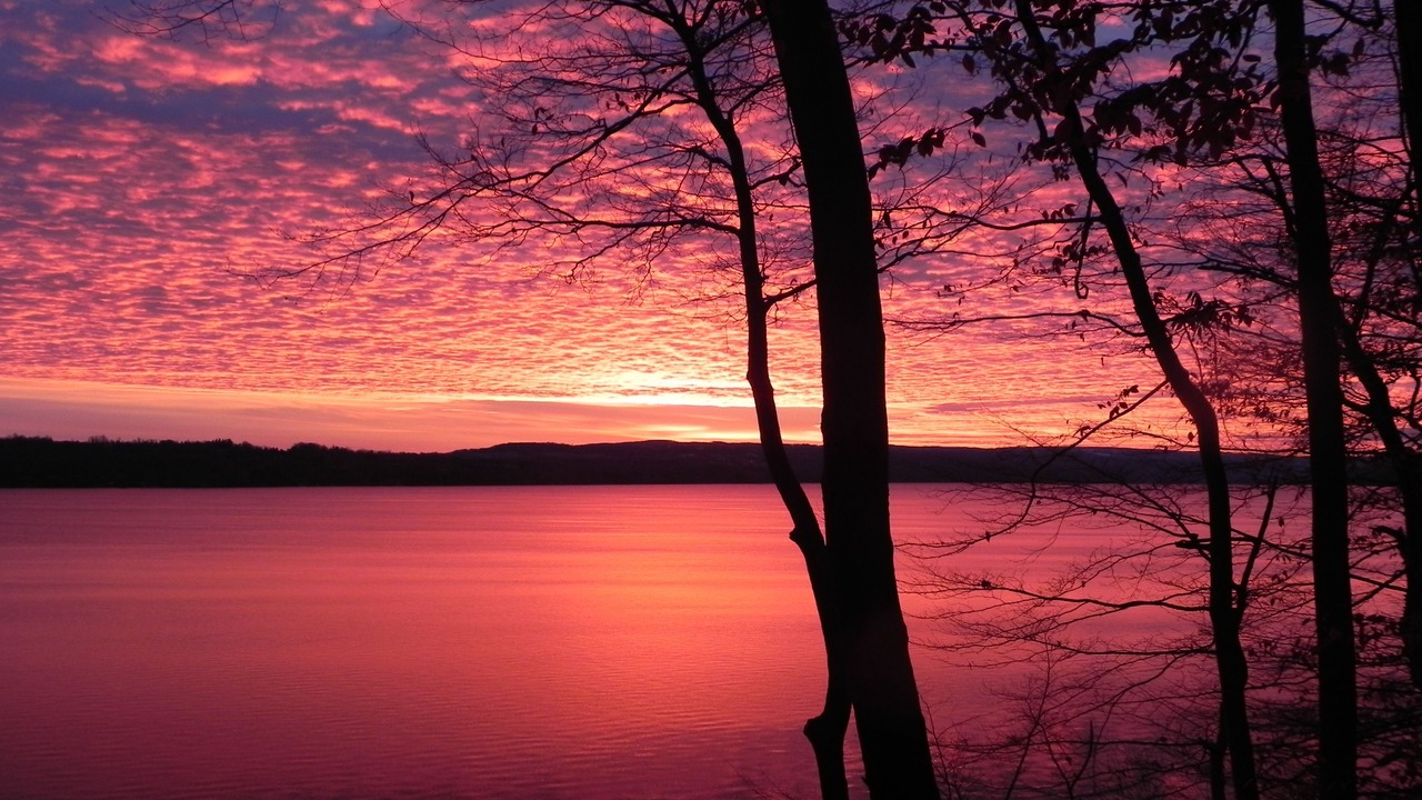 Photo of Others in Skaneateles