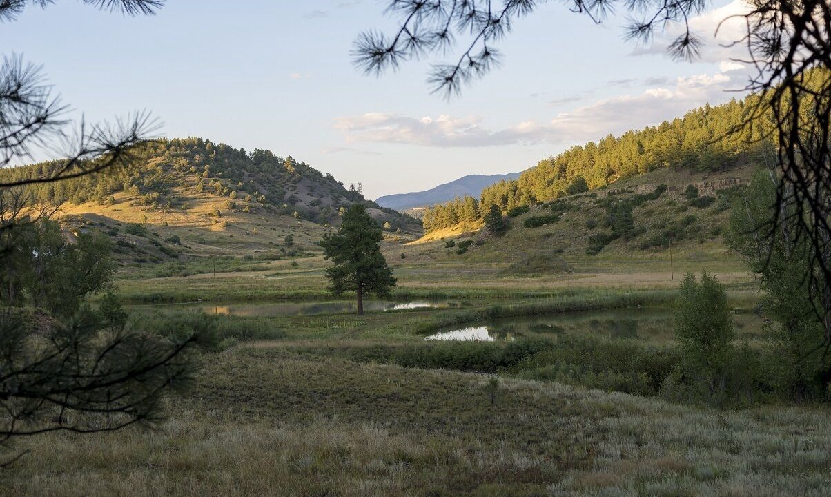 Photo of Others in Pagosa Springs
