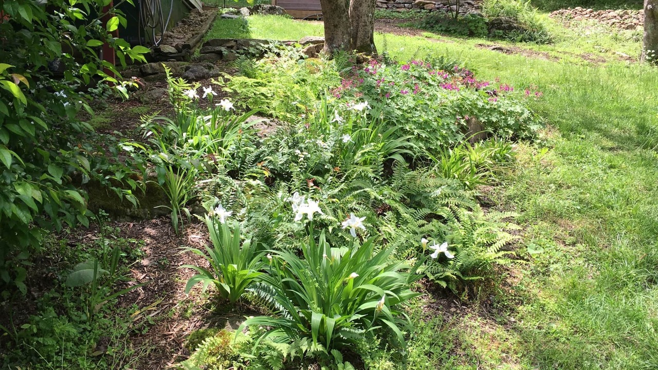 Photo of Outdoor in Montebello