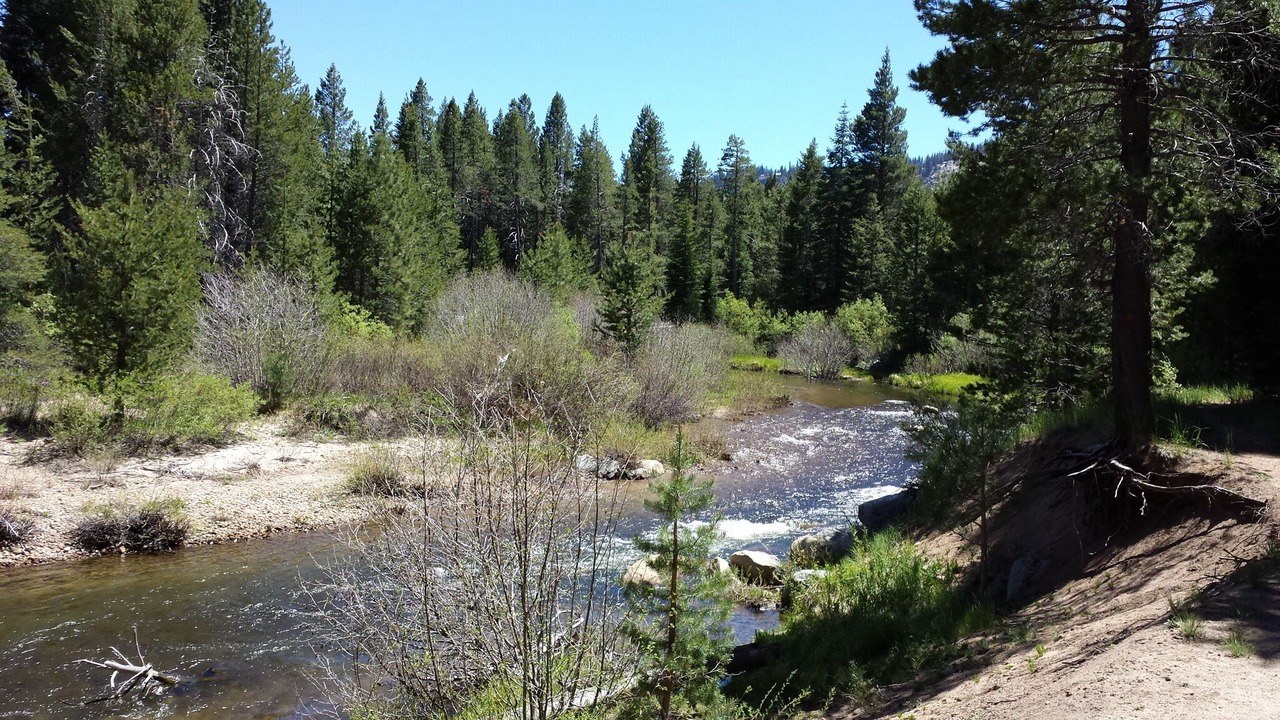 Photo of Outdoor in North Upper Truckee