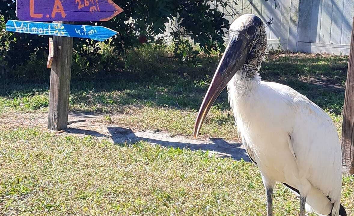 Photo of Outdoor in Port Charlotte