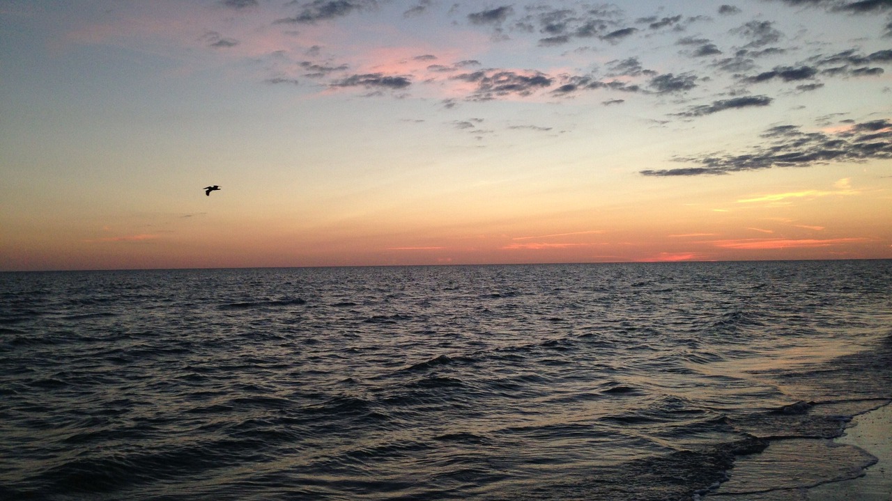 Photo of Others in Marco Island