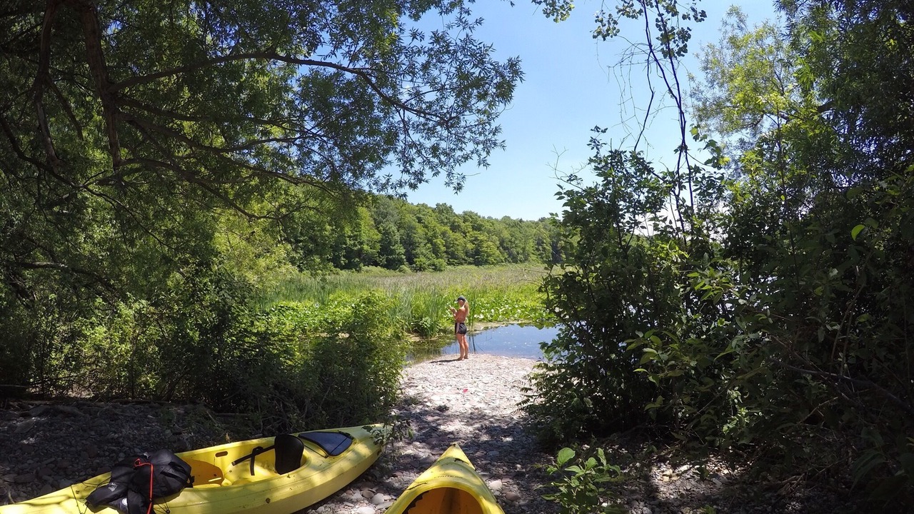 Photo of Outdoor in Wolcott