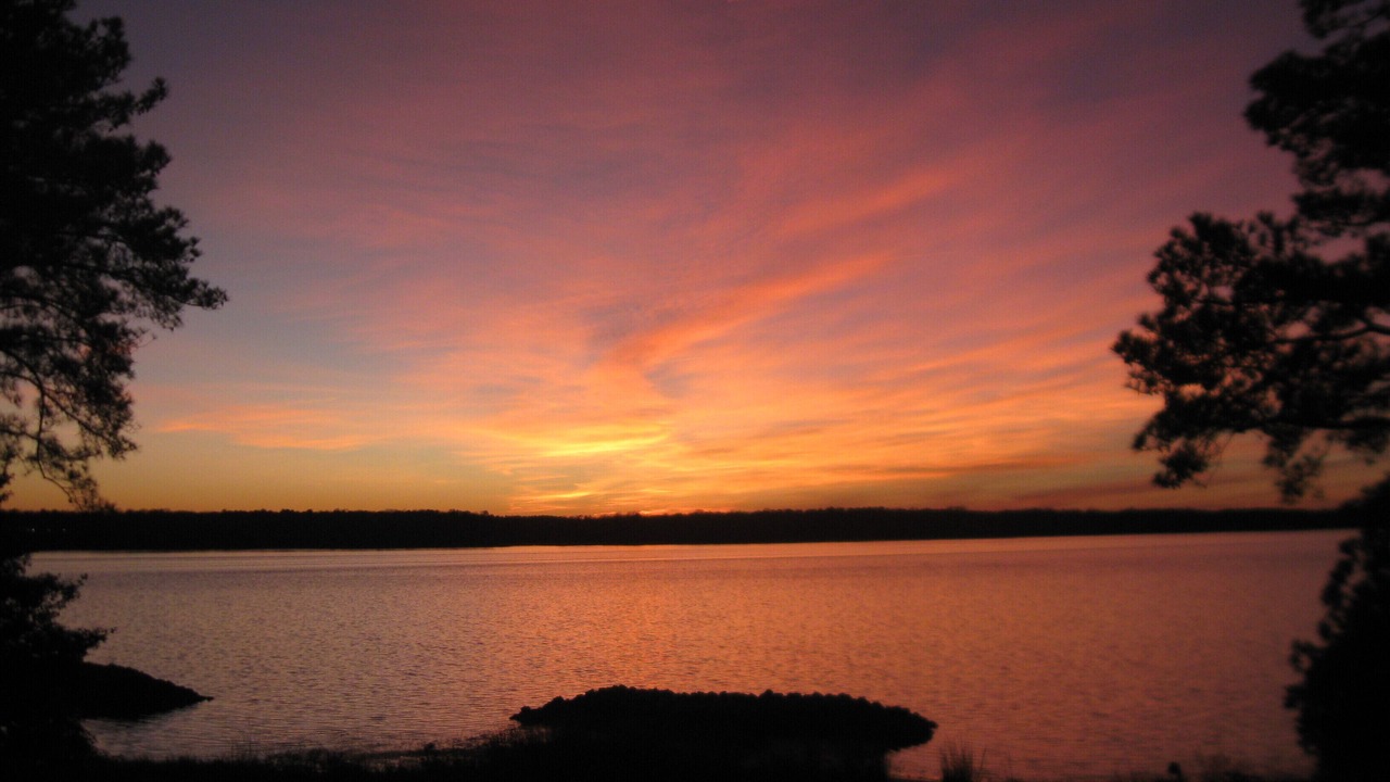 Photo of Others in Gloucester Point