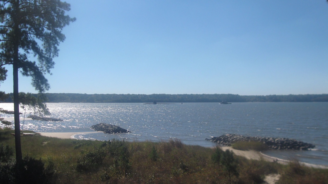 Photo of Others in Gloucester Point