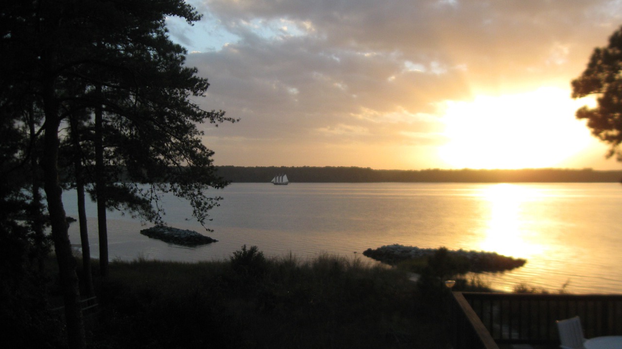 Photo of Others in Gloucester Point