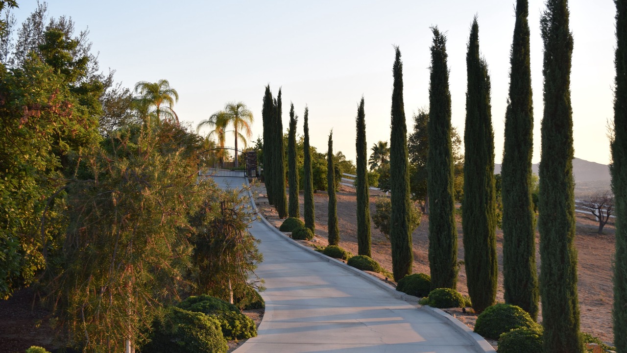 Photo of Others in Temecula