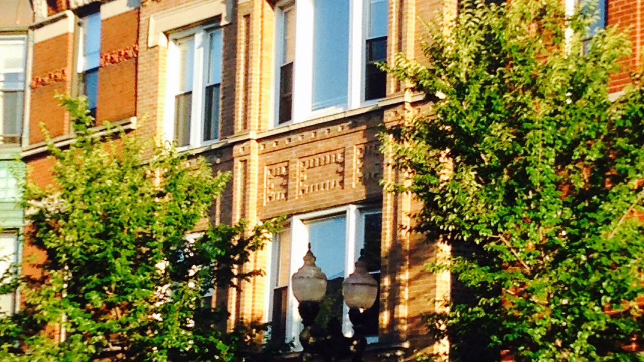 Photo of Others in Near West Side