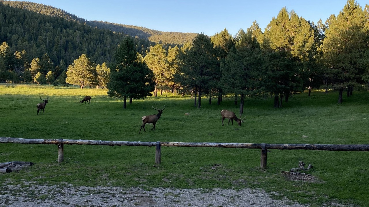 Photo of Others in Cloudcroft