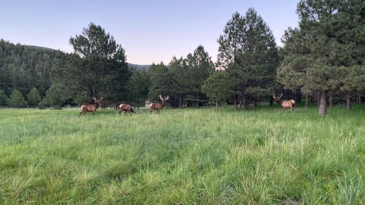 Photo of Outdoor in Cloudcroft