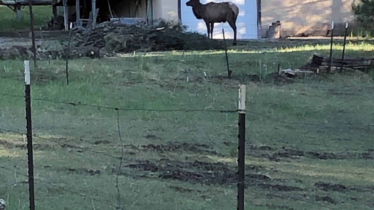 Photo of Outdoor in Cloudcroft