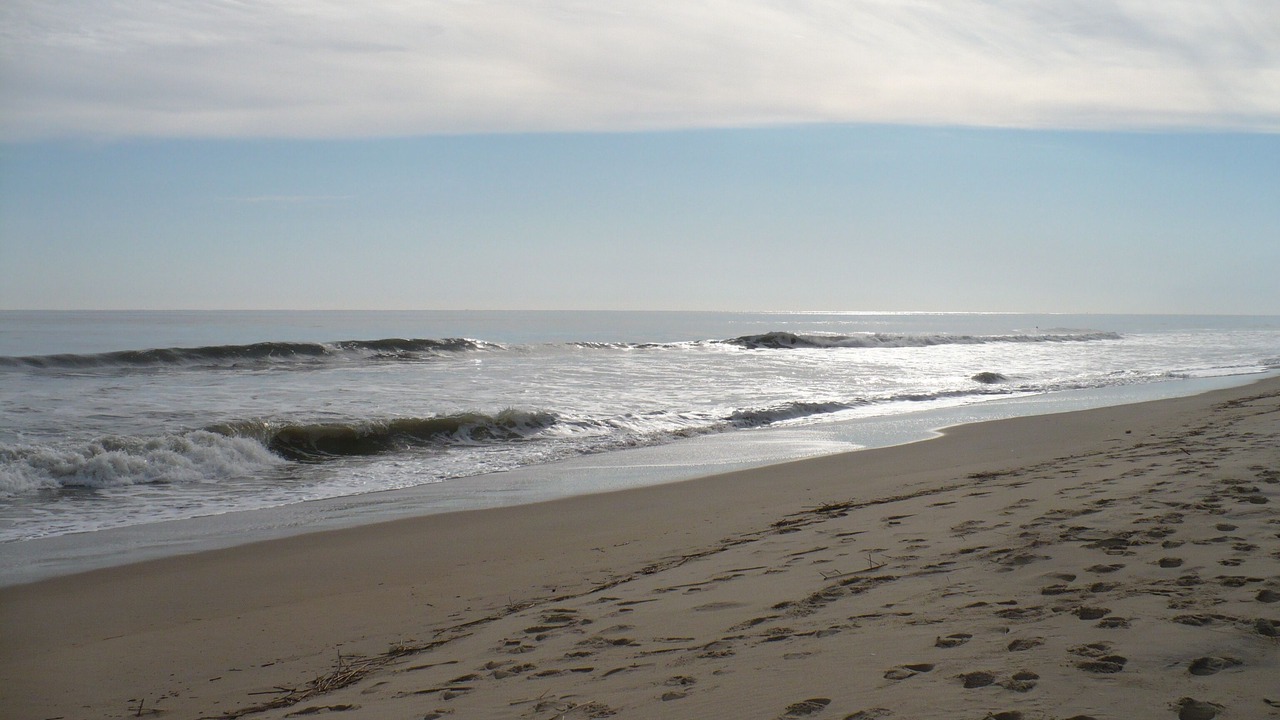 Photo of Others in Midtown Ocean City