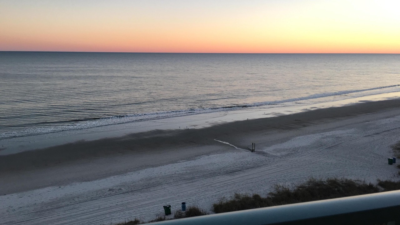Photo of Others in Myrtle Beach