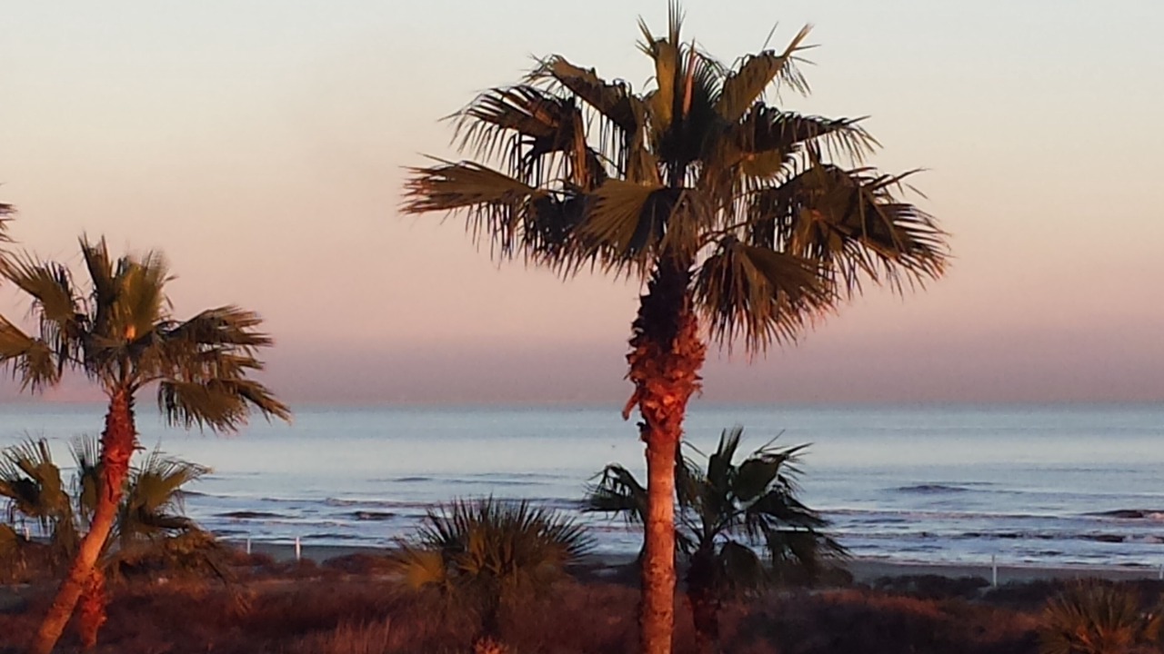 Photo of Others in Galveston