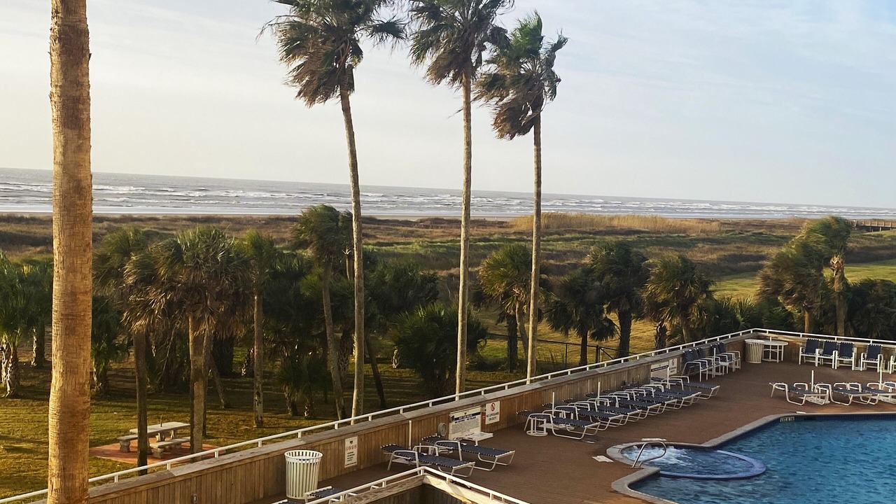 Photo of Others in Galveston