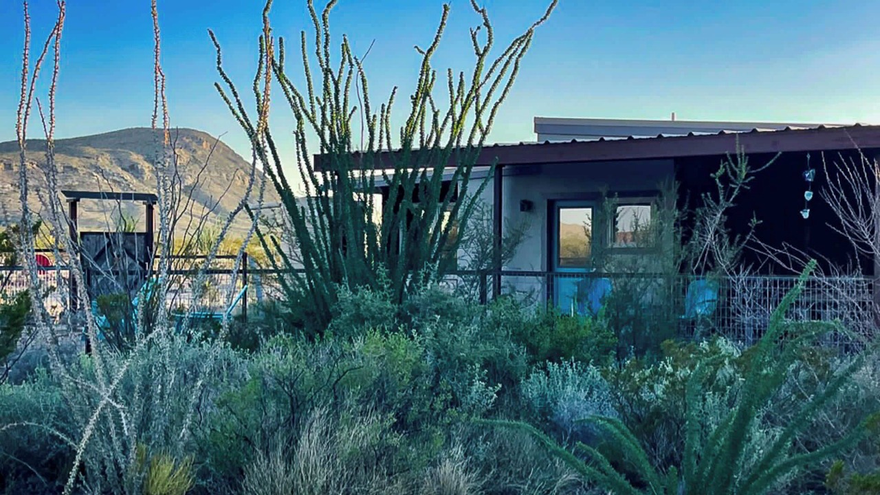 Photo of Outdoor in Alpine