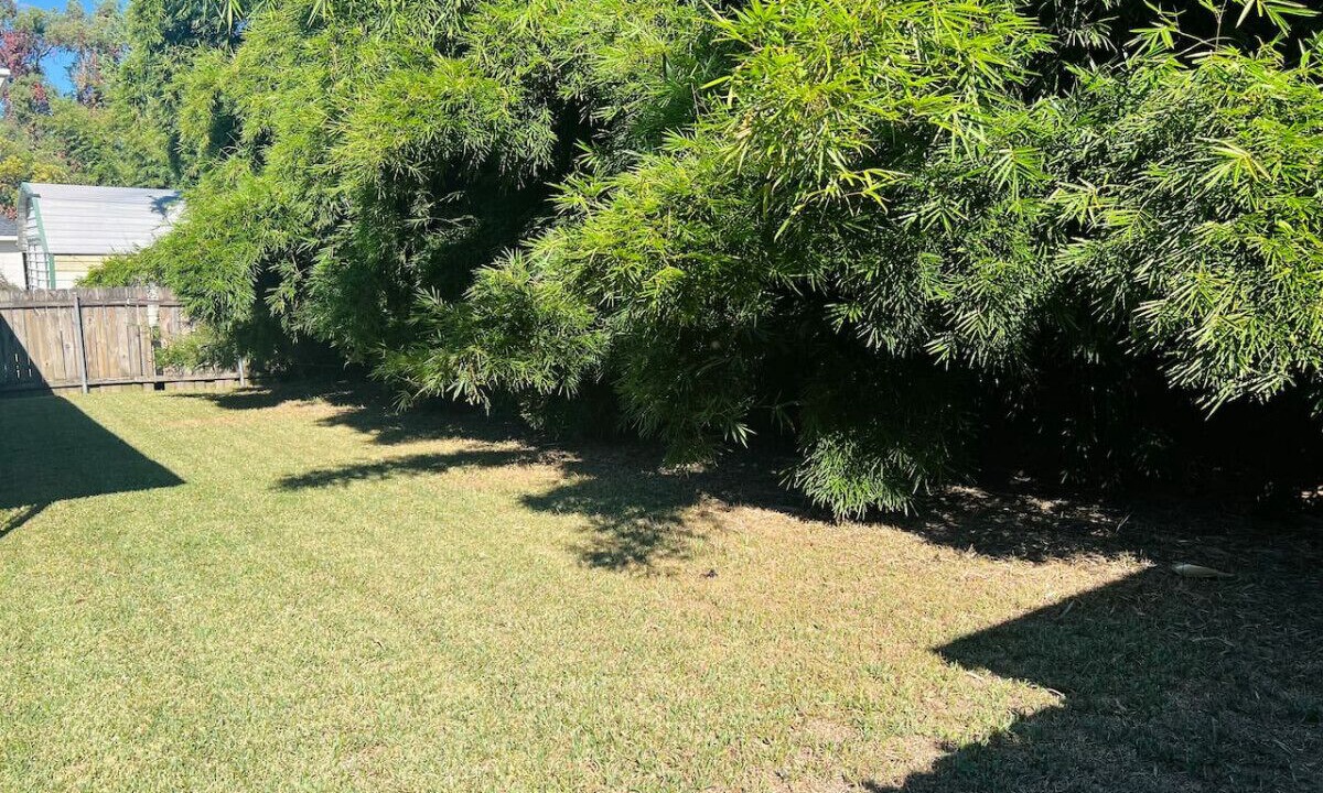 Photo of Outdoor in Fillmore