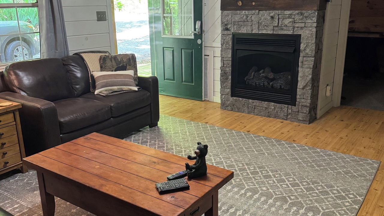 Photo of Livingroom in Wears Valley