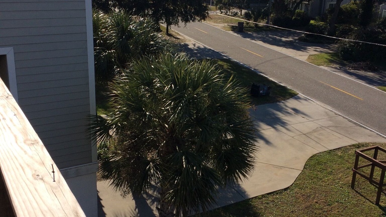 Photo of Outdoor in Woodland Terrace