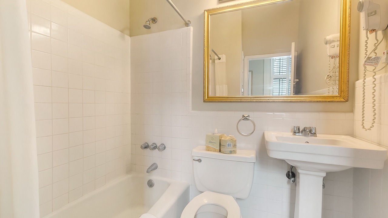 Photo of Bathroom in Treme