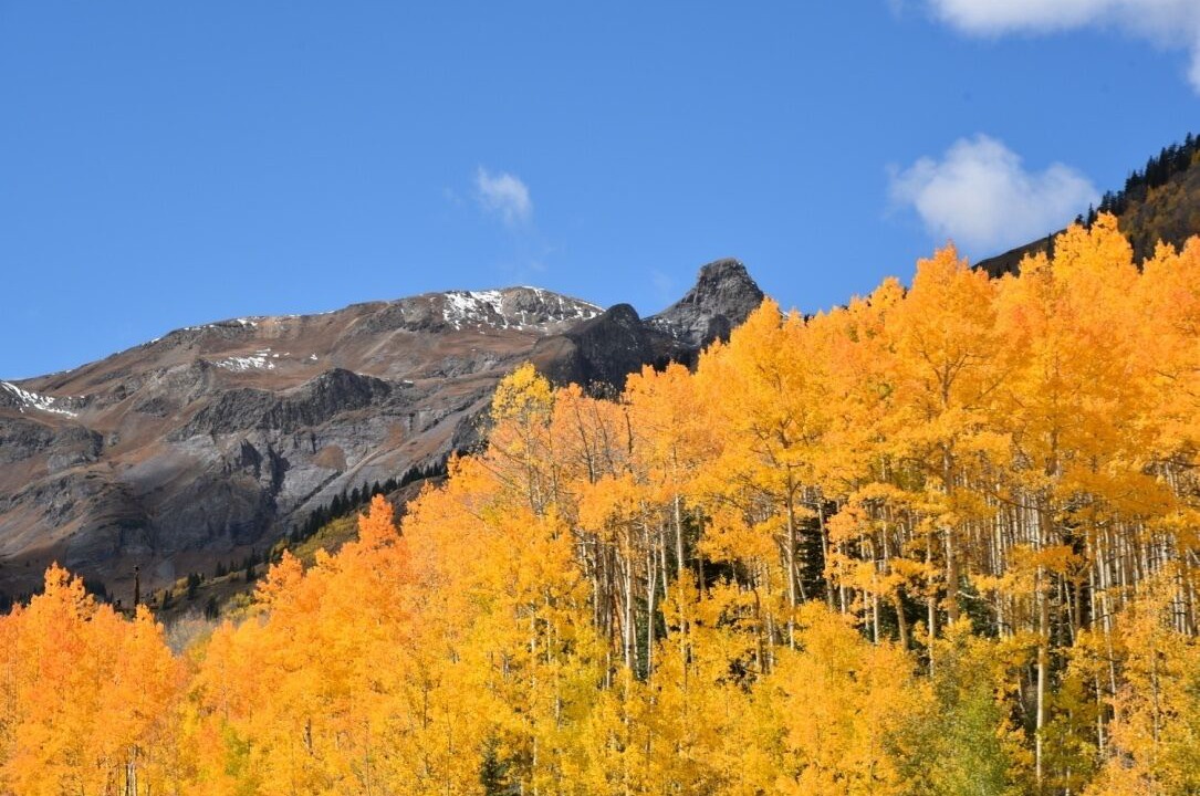 Photo of Others in Silverton