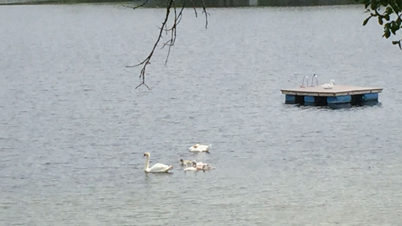 Photo of Others in Wind Lake
