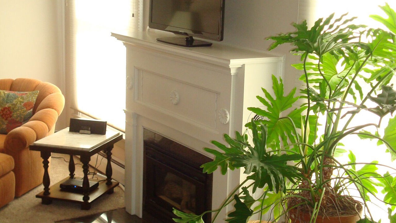 Photo of Livingroom in Glenwood Springs