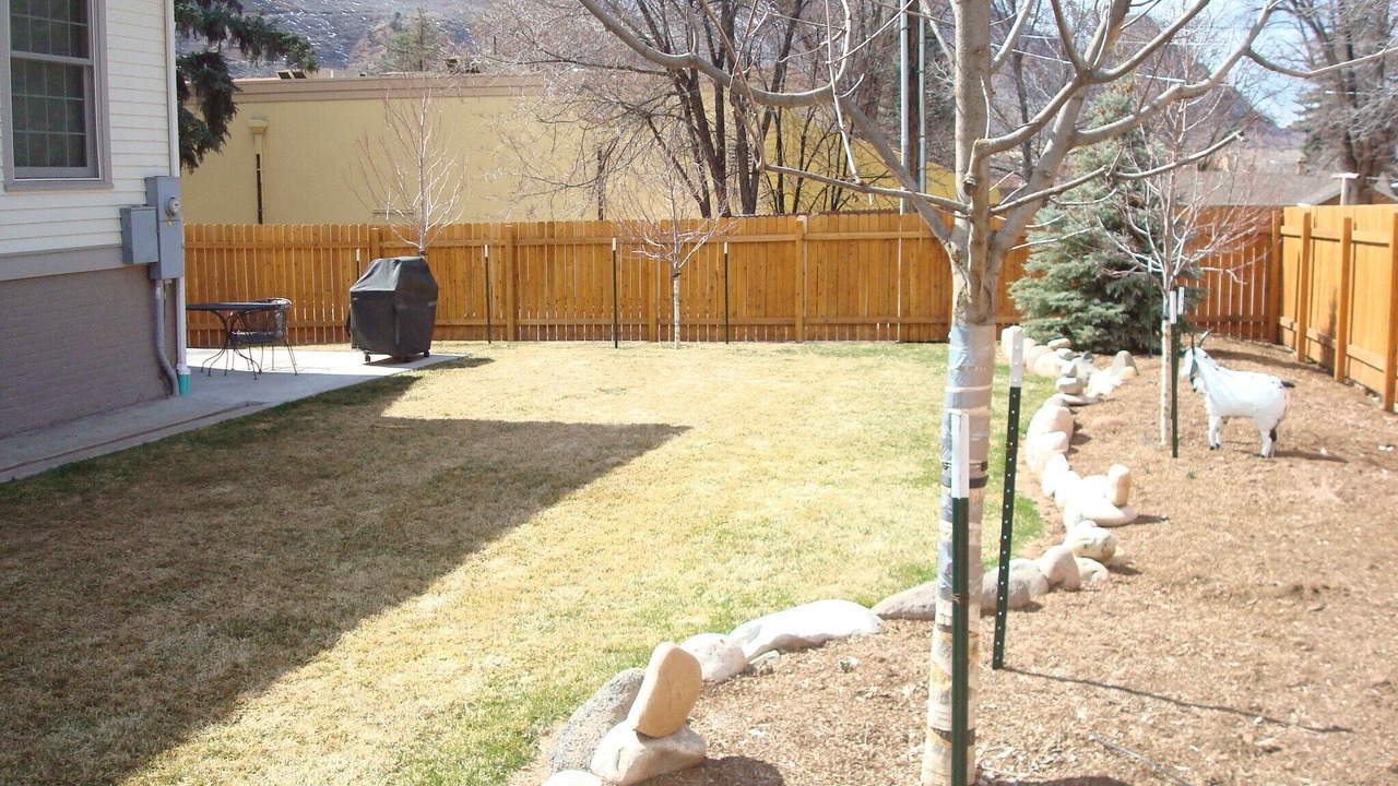 Photo of Others in Glenwood Springs