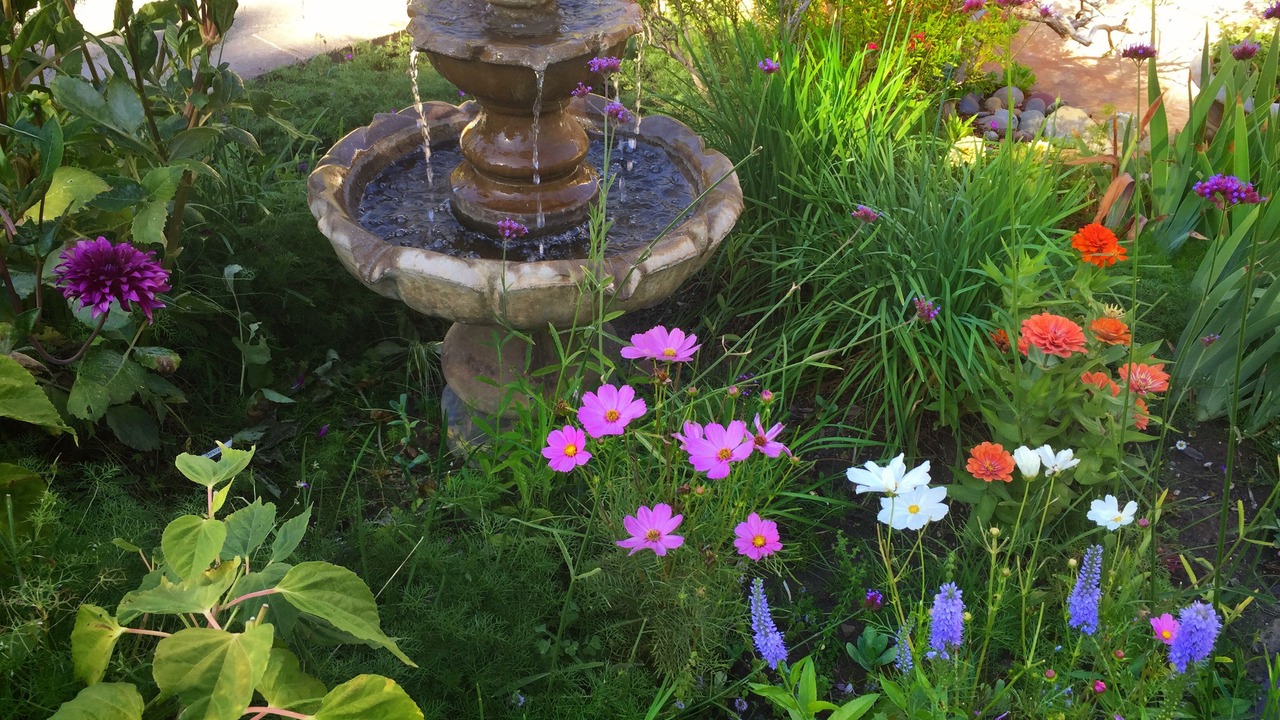 Photo of Outdoor in Valley Village