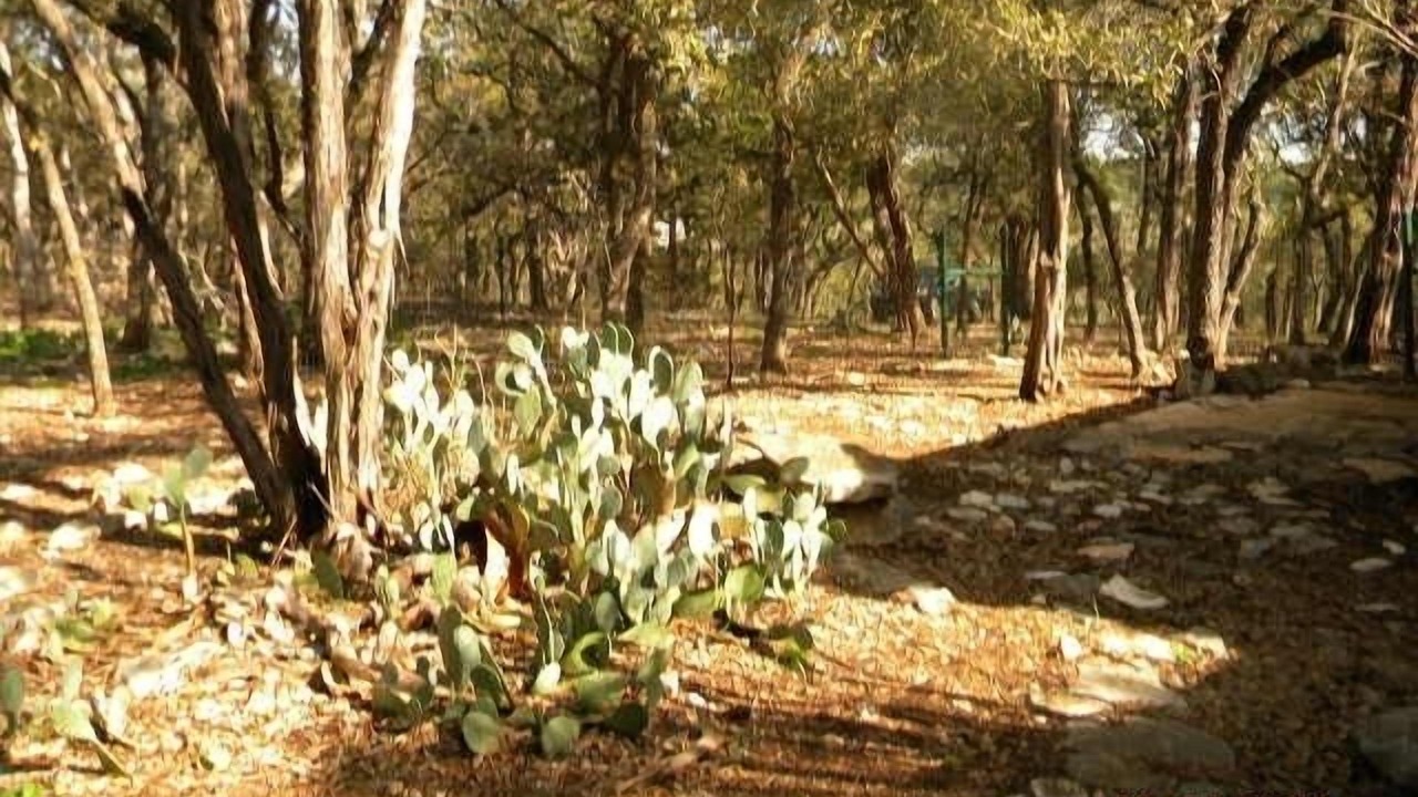 Photo of Others in Wimberley