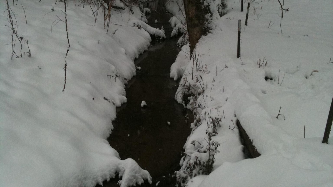 Photo of Others in Tellico Plains