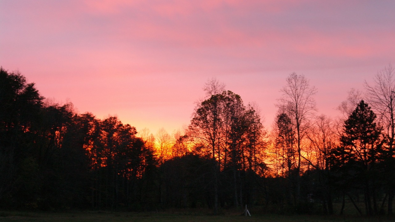 Photo of Outdoor in Tellico Plains