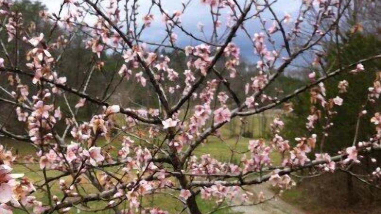 Photo of Outdoor in Tellico Plains