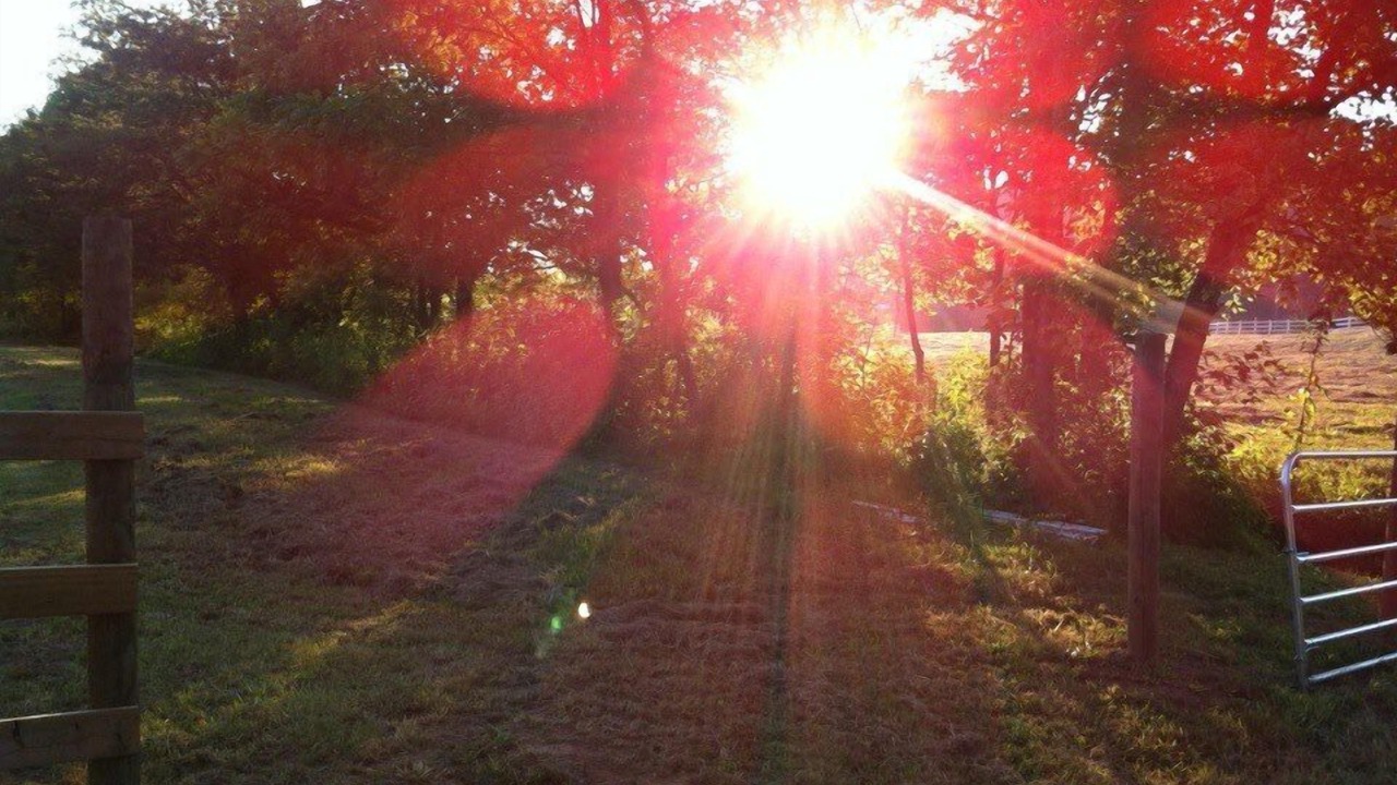 Photo of Others in Tellico Plains