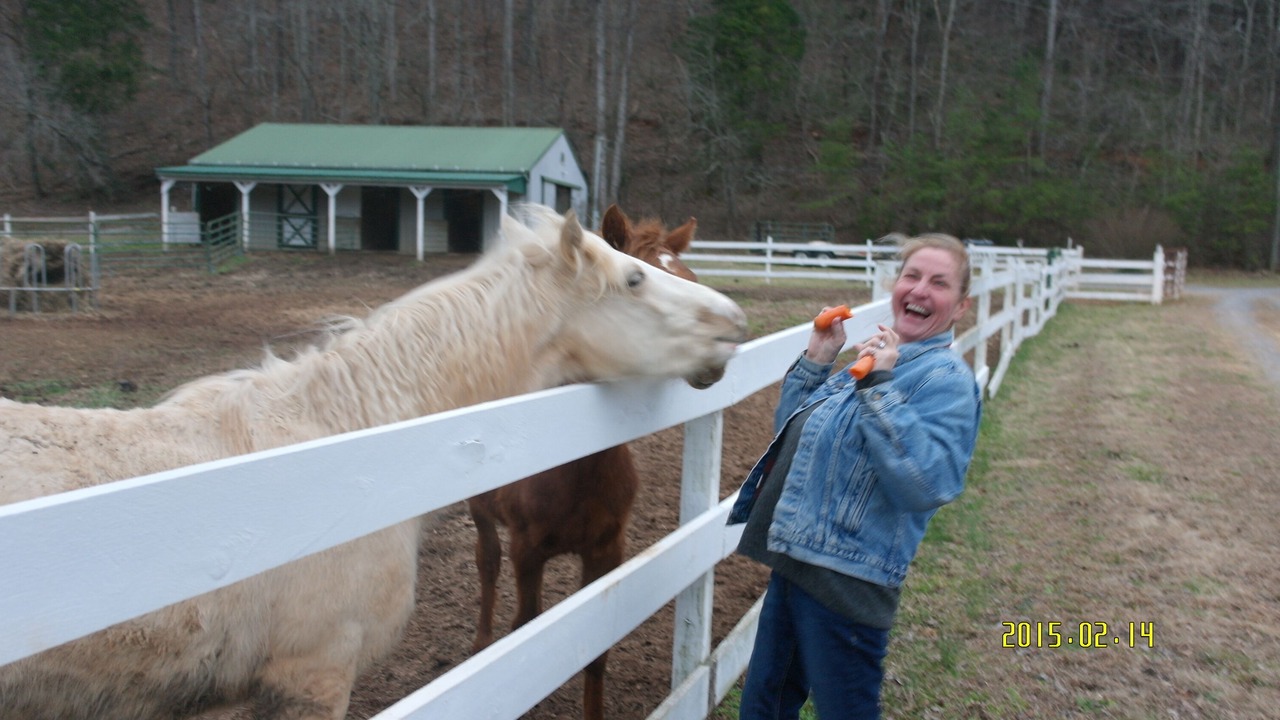 Photo of Outdoor in Tellico Plains