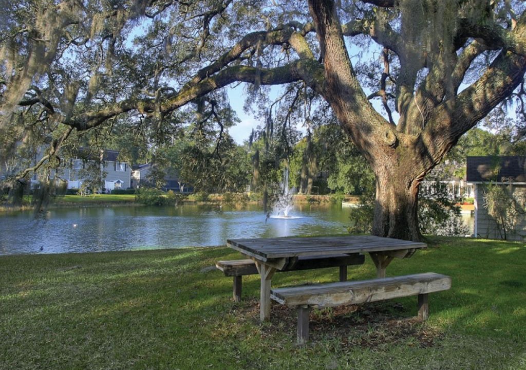 Photo of Others in Demere Park