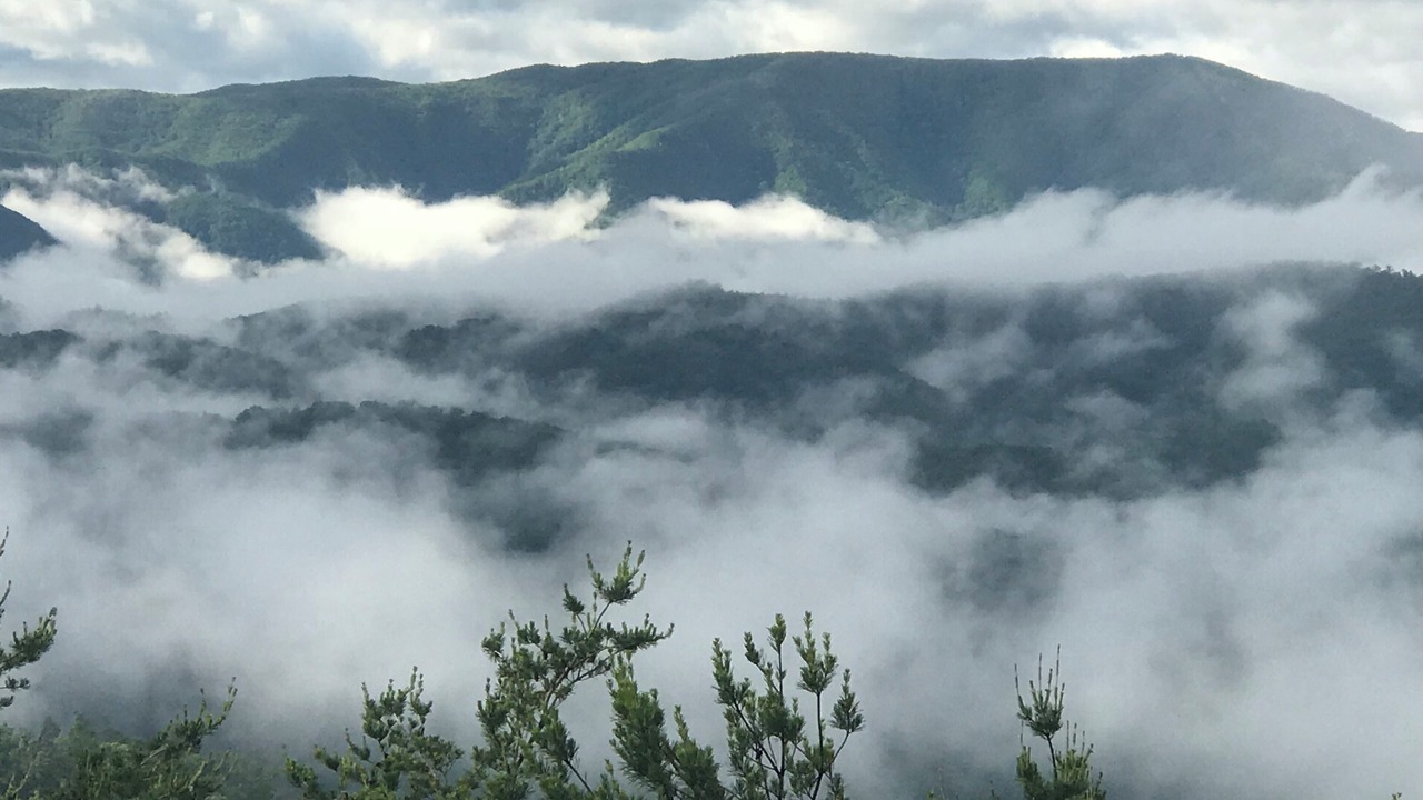 Photo of Others in Gatlinburg - Pigeon Forge