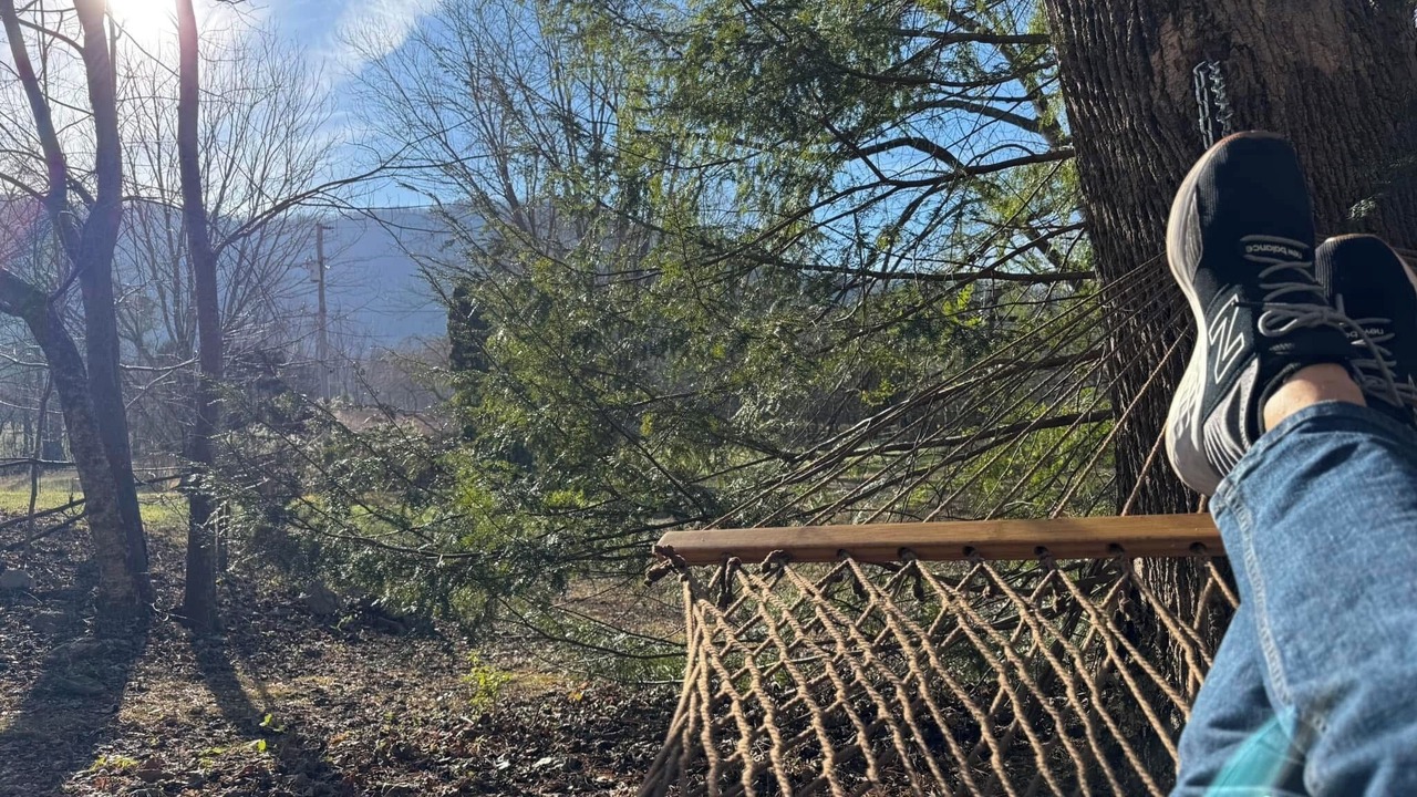 Photo of Others in Townsend