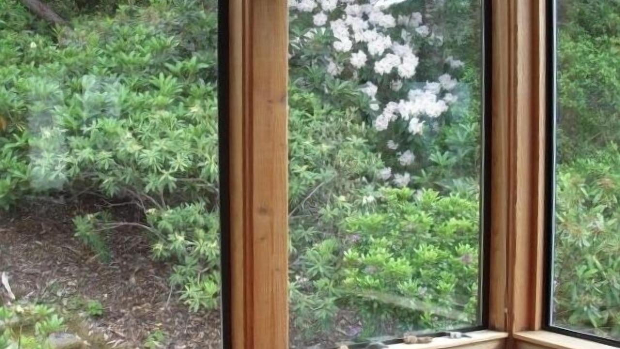 Photo of Outdoor in Point Reyes Station