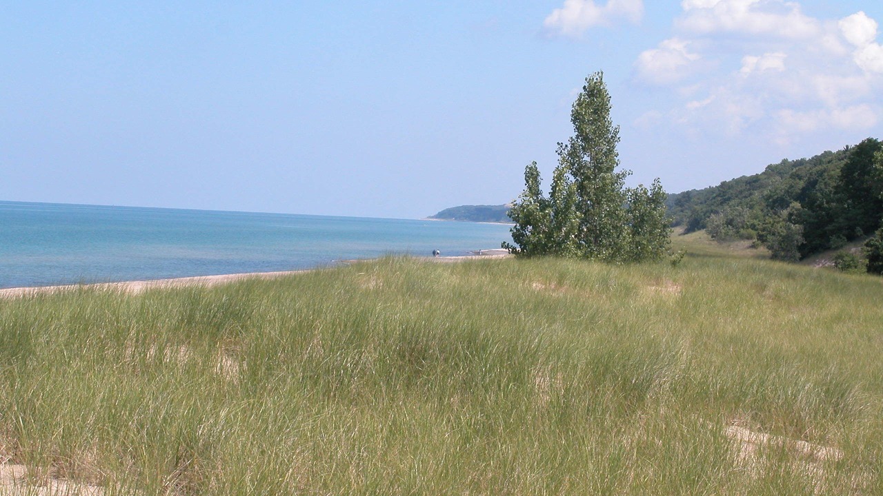 Photo of Others in Bridgman