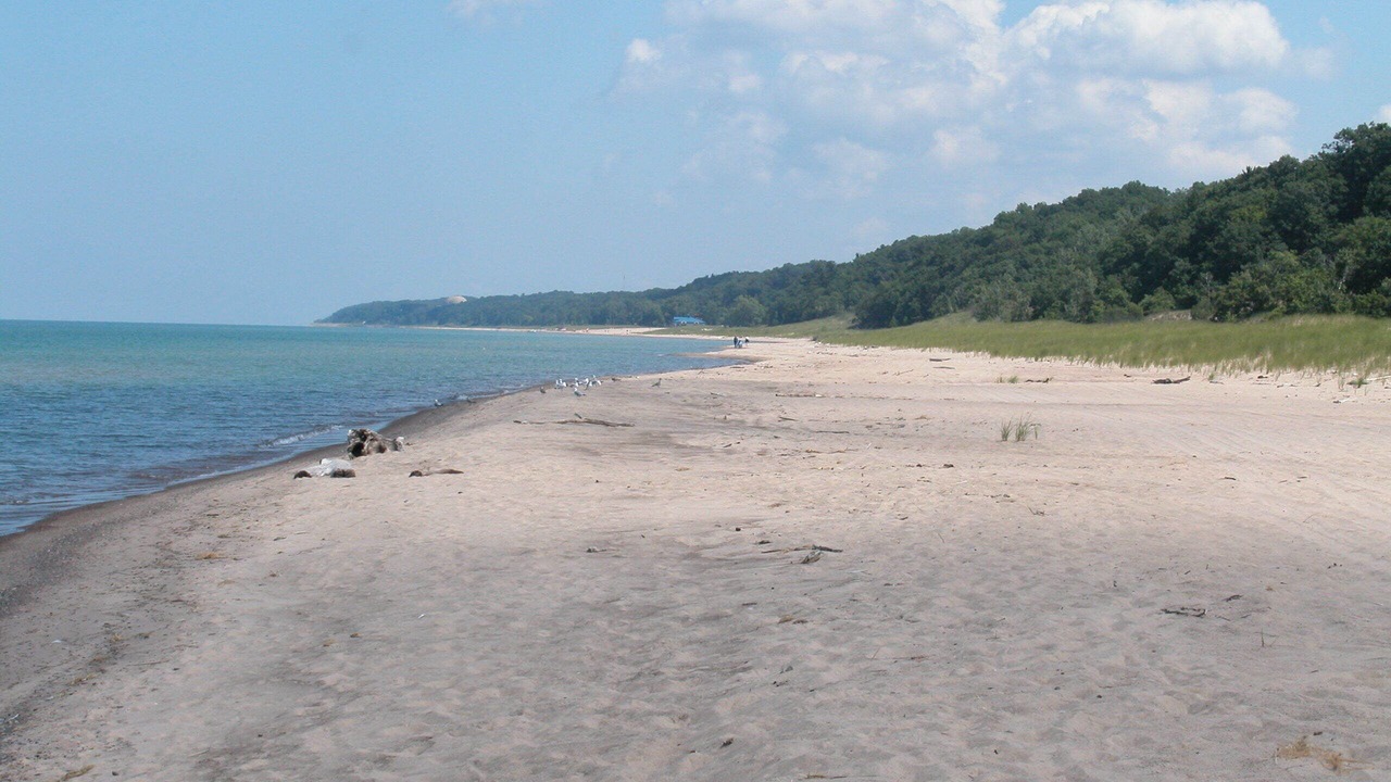 Photo of Others in Bridgman