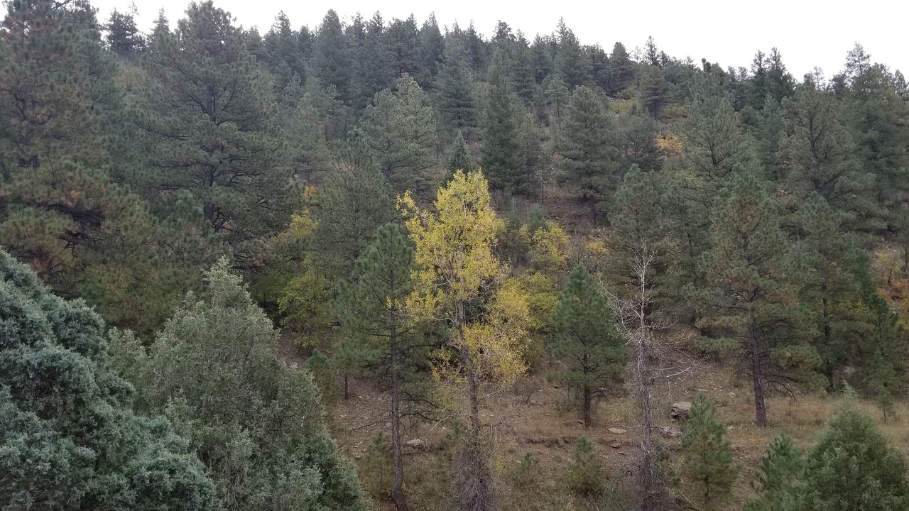 Photo of Outdoor in Weston